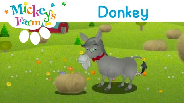 Donkey