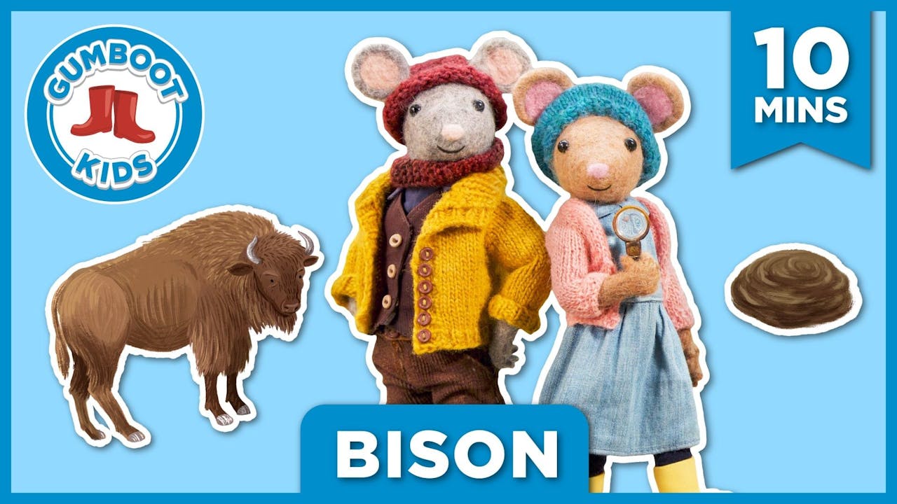 Bison - Season 1 - Yippee - Faith filled shows!