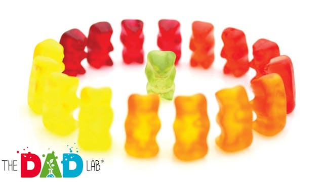 Gummy Bear Simple Science Experiment ...
