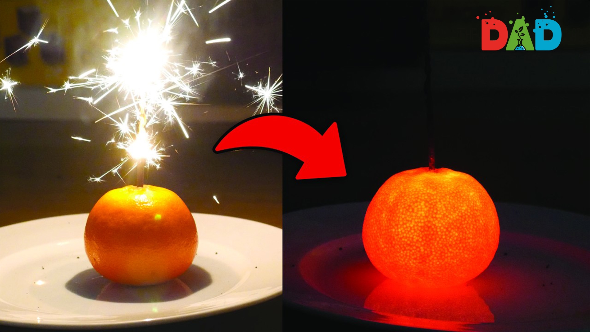 Orange vs Sparkler | Glow in the Dark Experiment