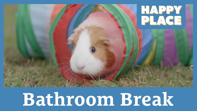 Bathroom Break