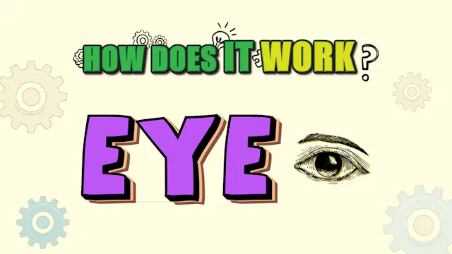How Does it Work? - Eye