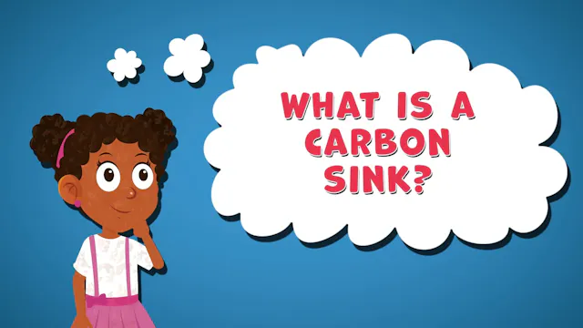 I WONDER - What Is A Carbon Sink?