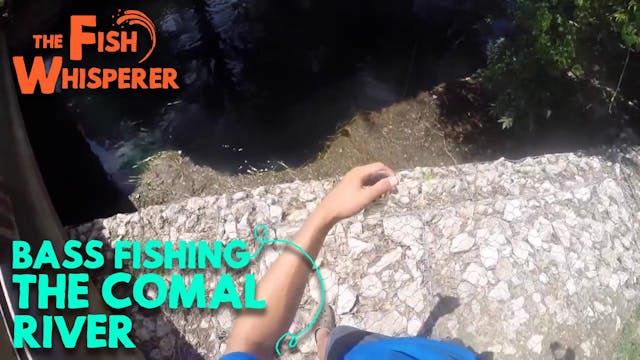 Bass Fishing The Comal River Landa Pa...