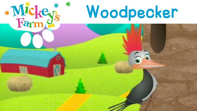 Woodpecker