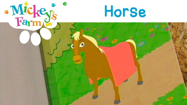 Horse