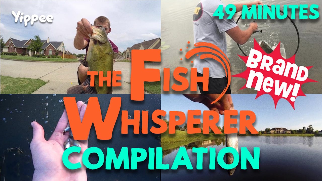 Best of Fish Whisperer Season 1 Yippee Faith filled shows! Watch VeggieTales now.