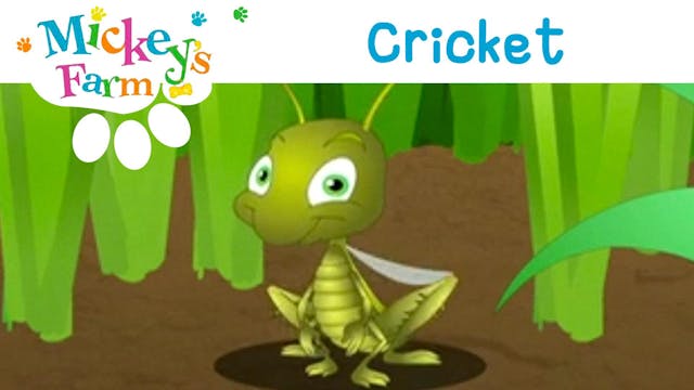 Cricket