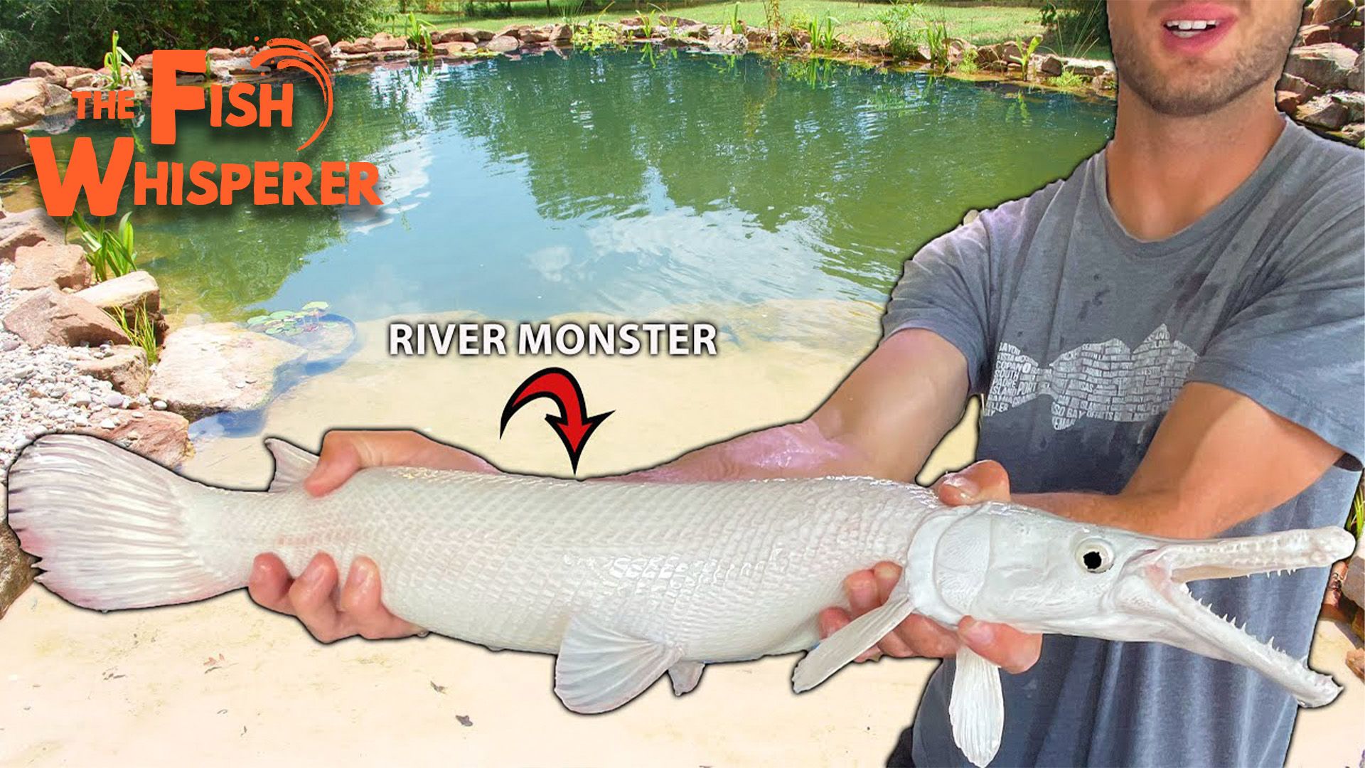 River Monsters in my Backyard Pond!