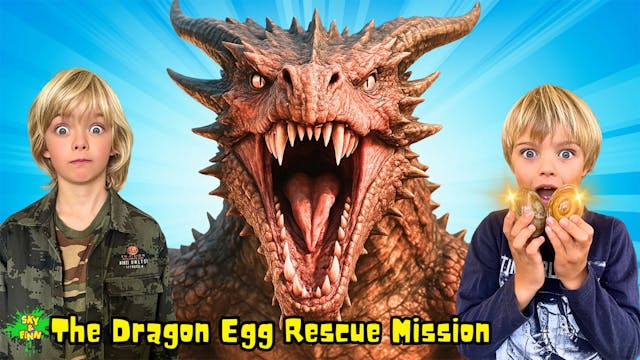 The Dragon Egg Rescue Mission