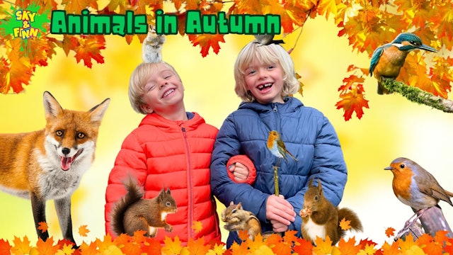 Animals in Autumn