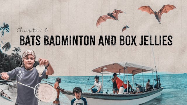 Bats Badminton & Box Jellies