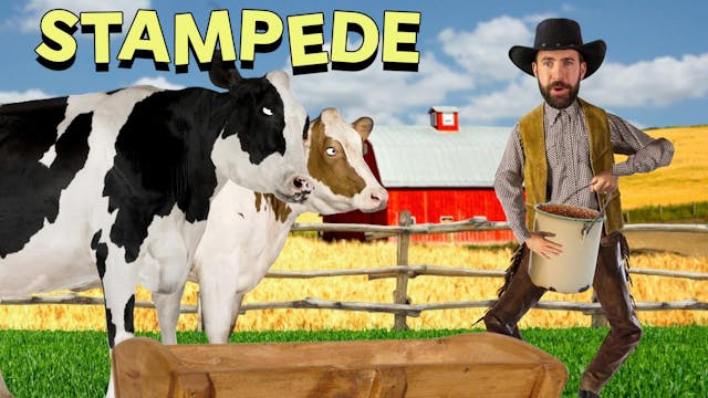 Stampede