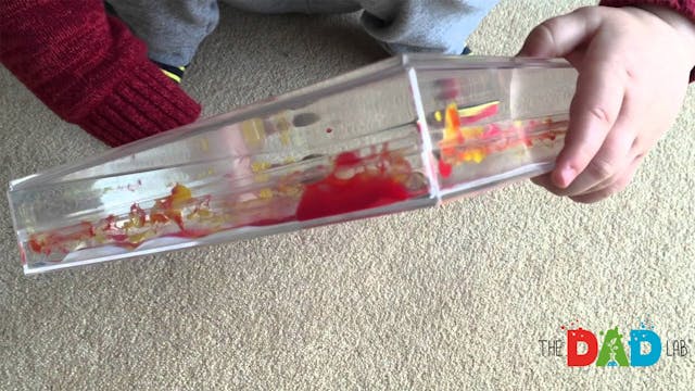 Painting With A Marble