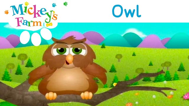 Owl