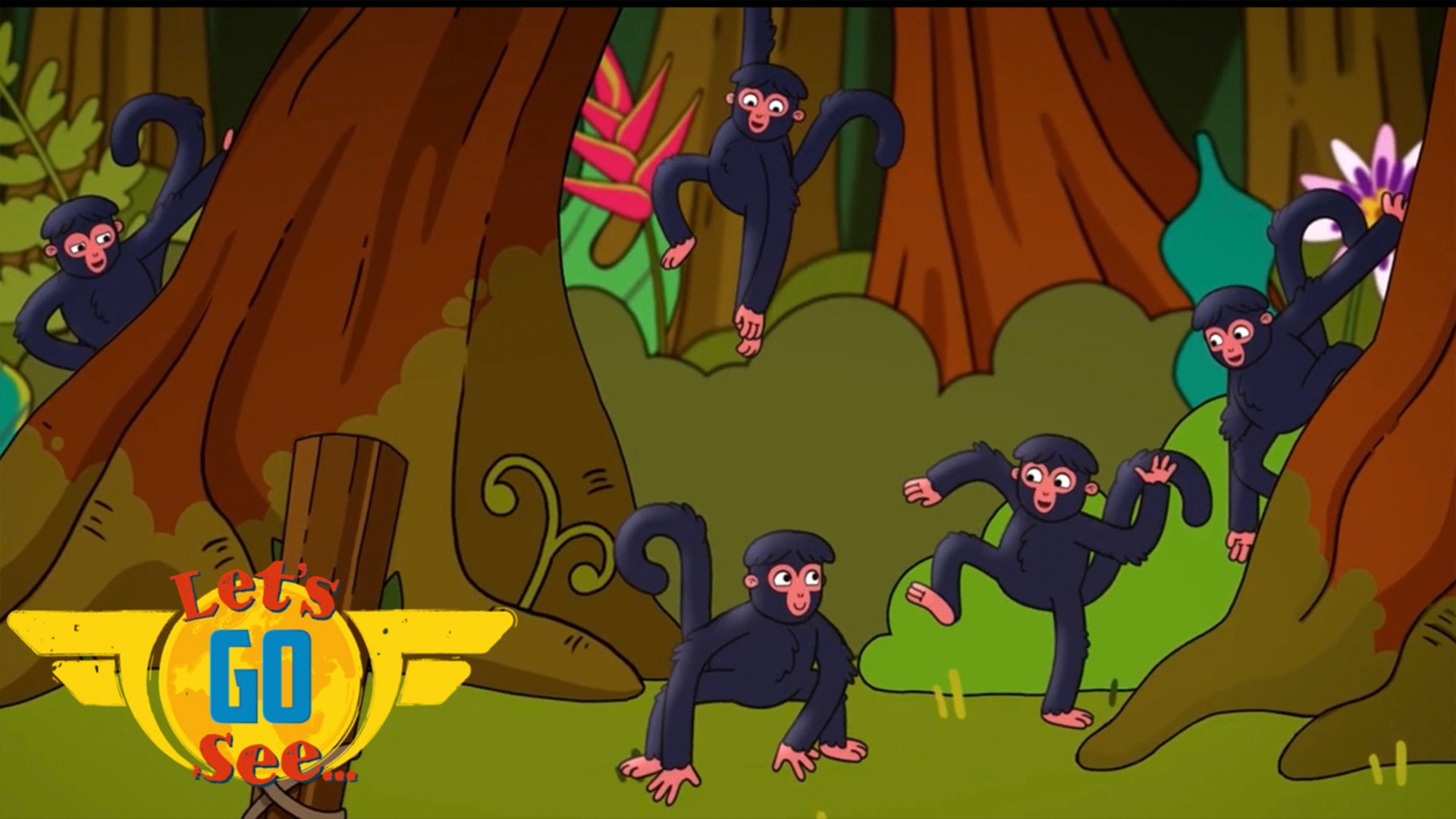 Let's Go See The Amazon Rainforest - The Monkey's Lost!