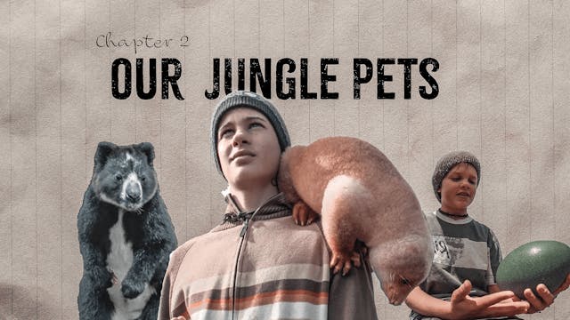 Our Jungle Pets
