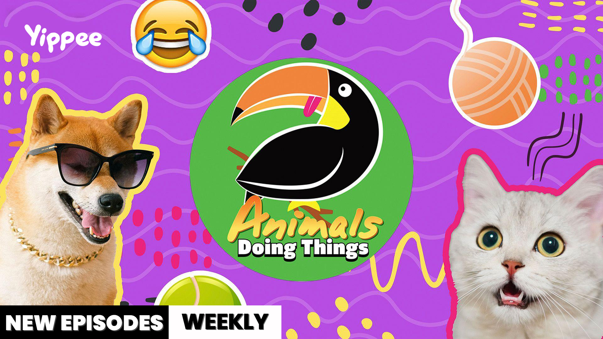Animals Doing Things