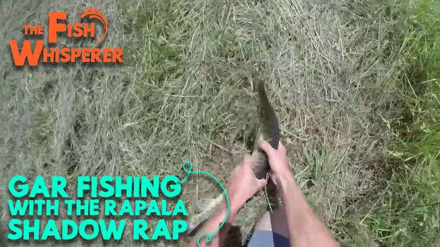 Gar Fishing with the Rapala Shadow Rap