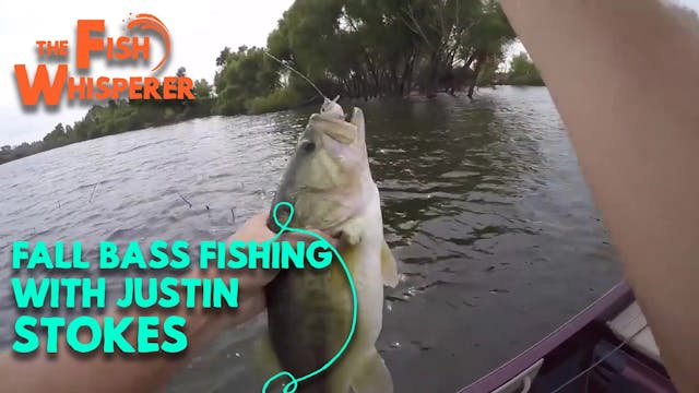 Fall Bass Fishing with Justin Stokes ...
