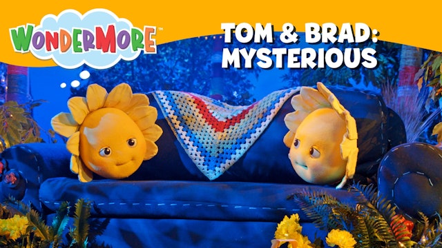 Tom & Brad: Mysterious