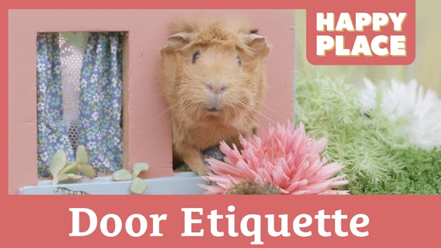 Door Etiquette