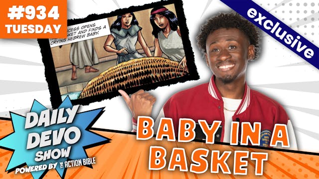 #934 - Baby In A Basket