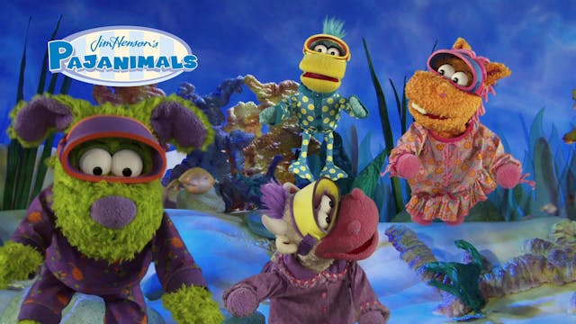 Accidents Can Happen