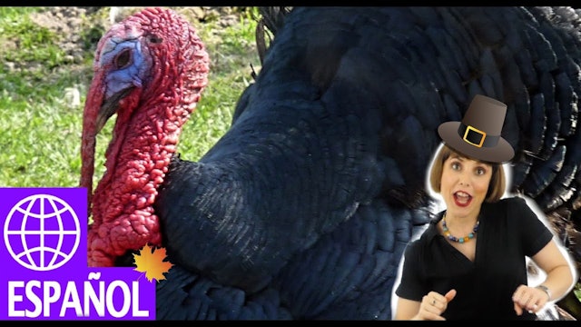 Thanksgiving Songs for kids in Spanish by Alina Celeste - preschoolers