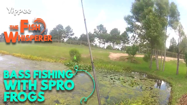 Bass Fishing with Spro Frogs