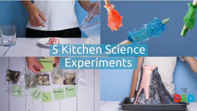 5 Easy Science Experiments in the Kit...