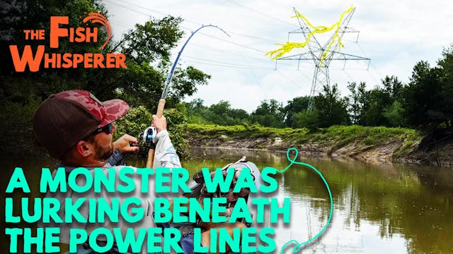 A Monster was Lurking Beneath the Pow...