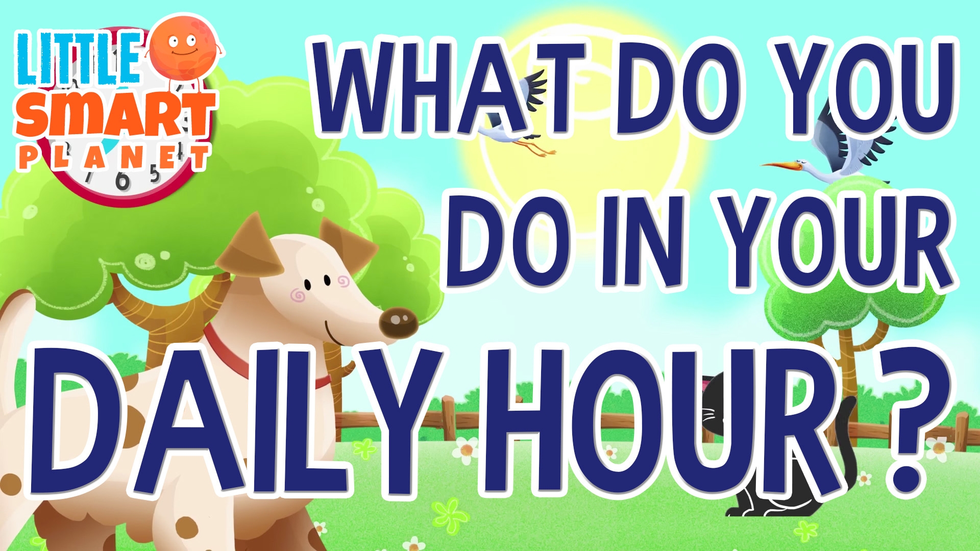 What Do You Do in Your Daily Hour?