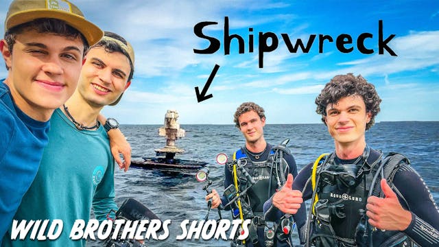 Wild Brothers Shorts | We Go Scuba Di...