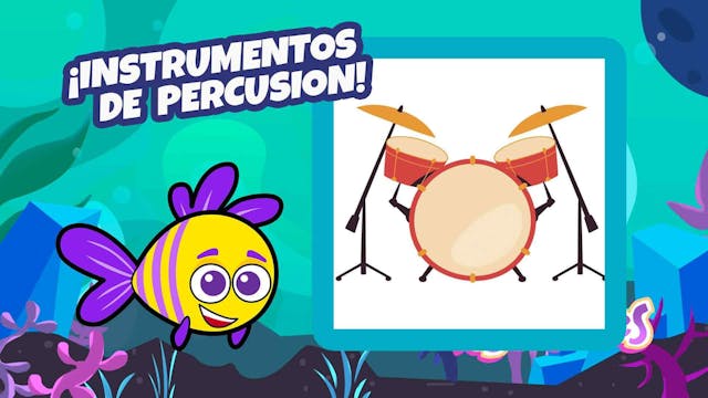 Pescadines | Instrumentos De Percusion