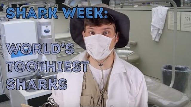 Shark Week- World's Toothiest Sharks