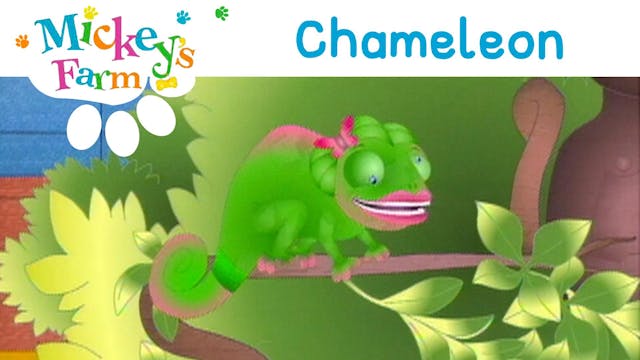 Chameleon