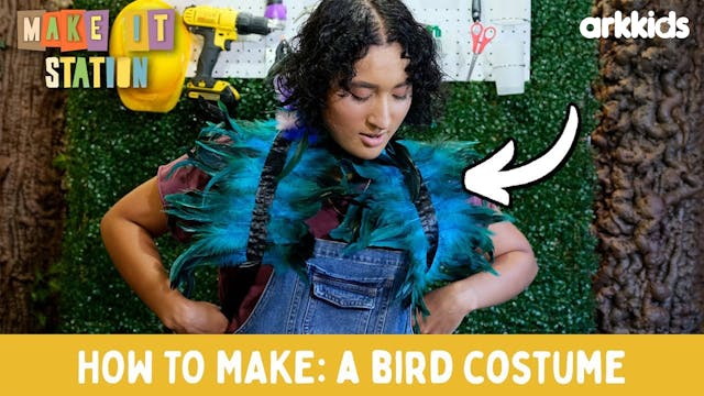 Make It Station: How To Make A Bird C...