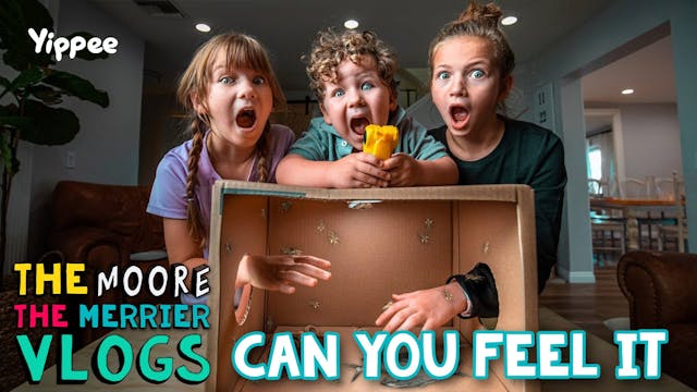 Can You Feel It - What's In The Box C...