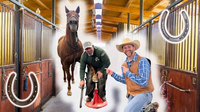 Horses Need Shoes | Let’s Meet a Farrier