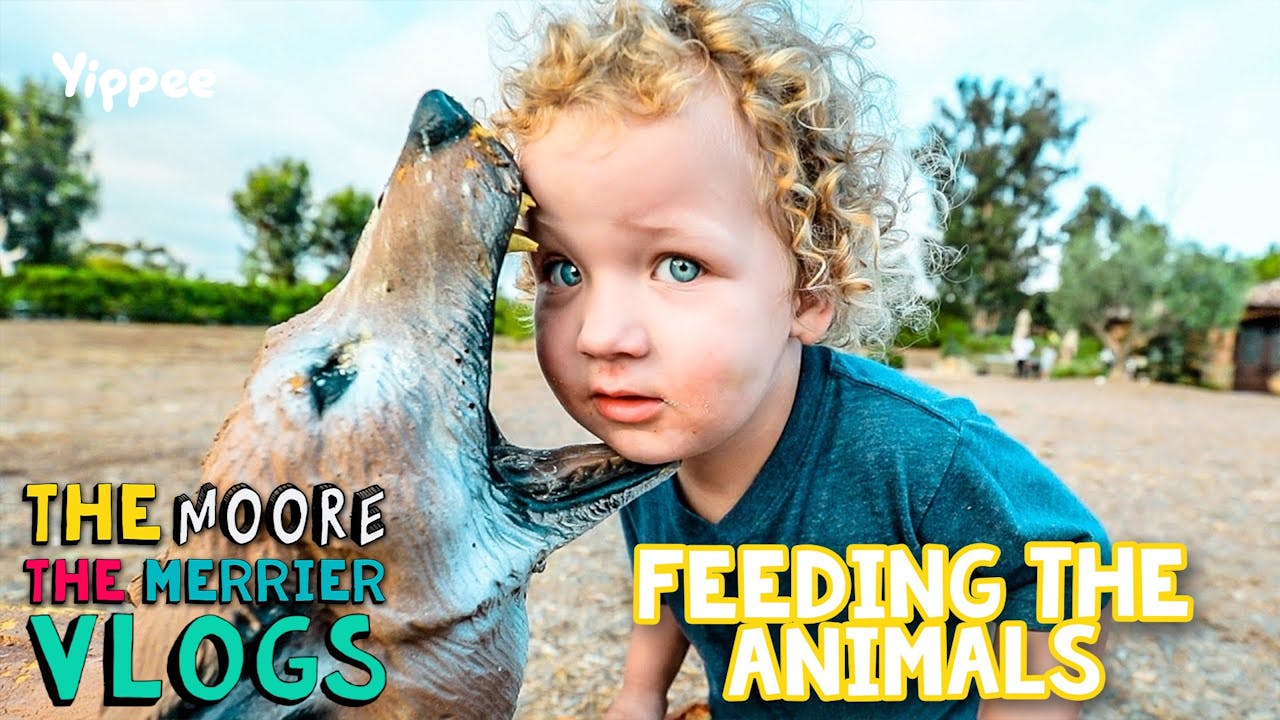 Feeding The Animals Moore The Merrier Vlogs Yippee Faith filled