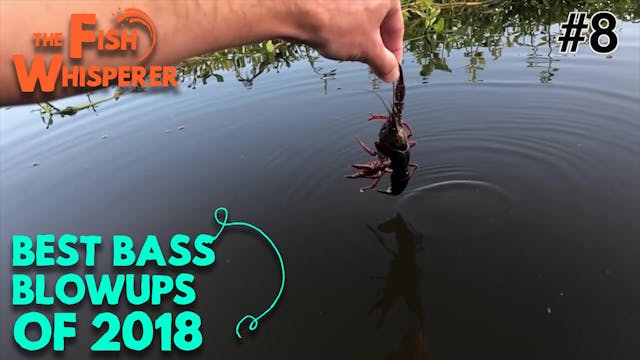 Best Bass Blowups of 2018!