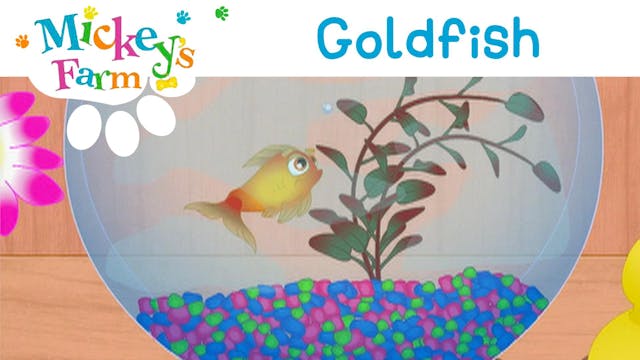 Goldfish