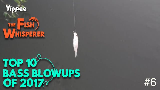 Top 10 Bass Blowups Of 2017!