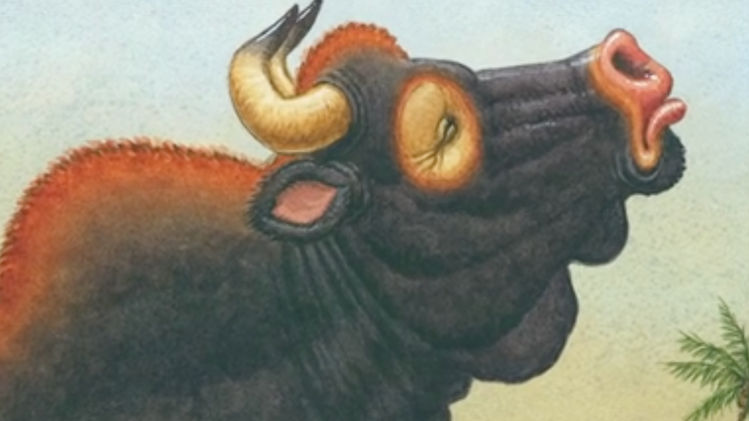 The Grumpy Old Ox - Anthony DeStefano