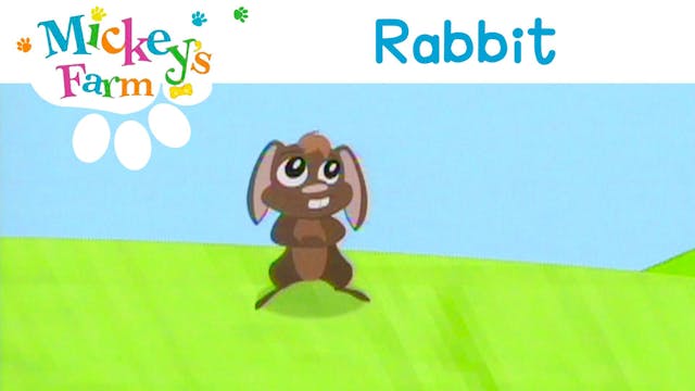 Rabbit