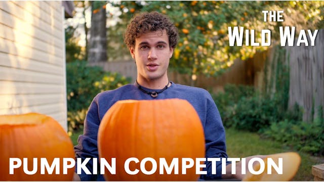 The Wild Way | Pumpkin Competition