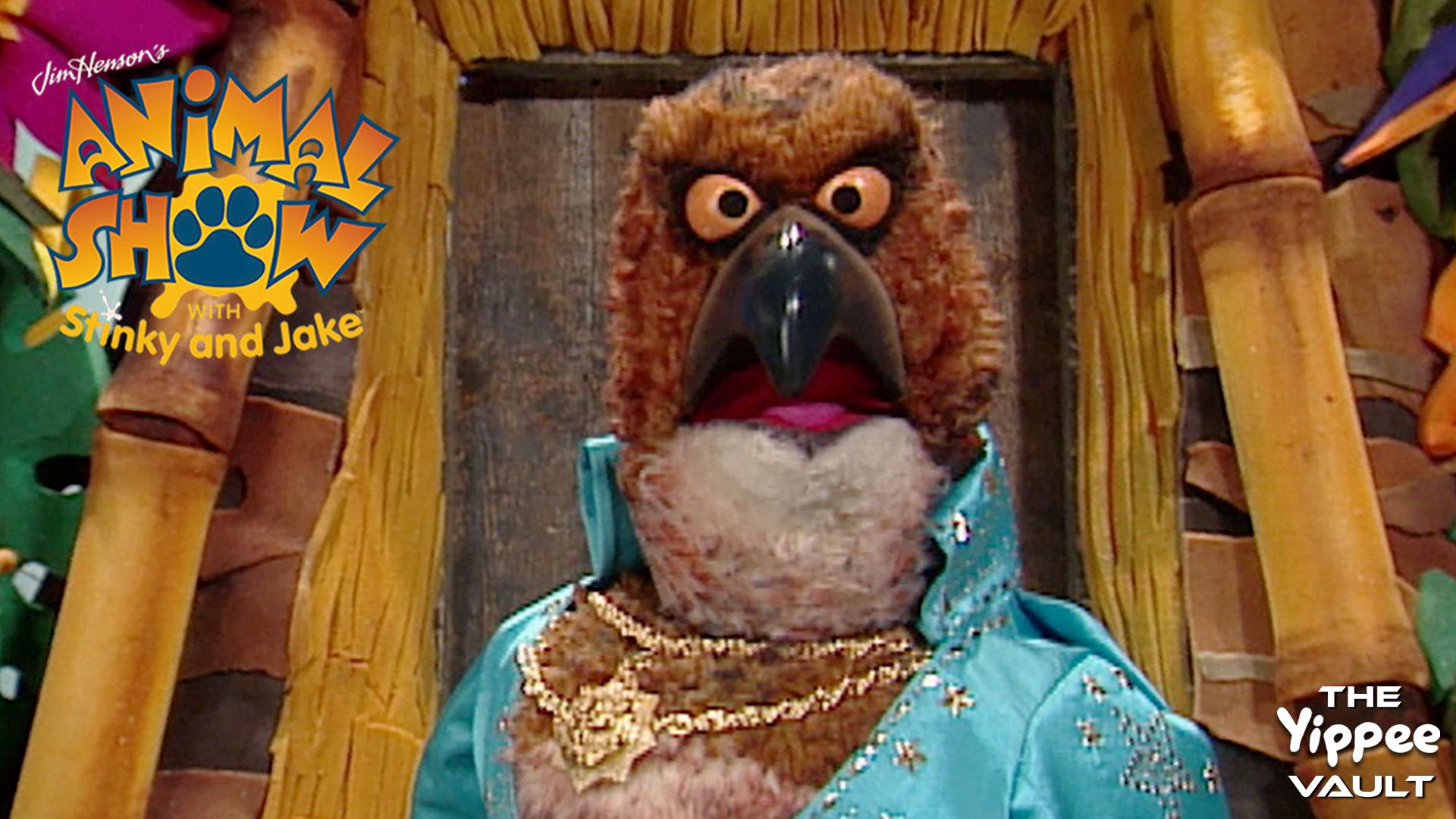 Wasp & Blue-Footed Booby