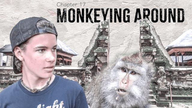 Monkeying Around