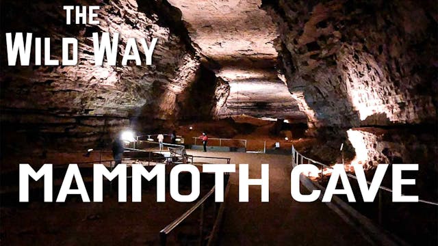 The Wild Way | Mammoth Cave